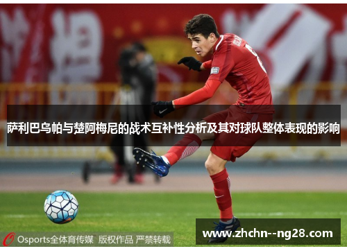 萨利巴乌帕与楚阿梅尼的战术互补性分析及其对球队整体表现的影响