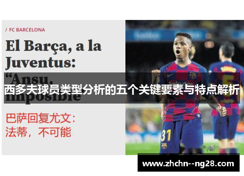 西多夫球员类型分析的五个关键要素与特点解析